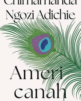 Americanah – Chimamanda Ngozi Adichie