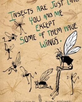 Insects Are Just Like You and Me Except Some of Them Have Wings – Kuzhali Manickavel