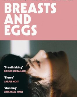 Breast and Eggs – Meiko Kawakami