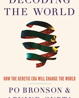 Decoding The World – Po Bronson & Arvind Gupta