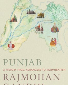 Punjab: A History From Aurangzeb To Mountbatten – Rajmohan Gandhi