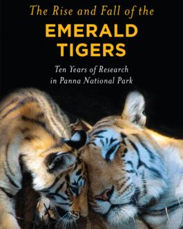 The Rise And Fall Of The Emerald Tigers – Raghu Chundawat