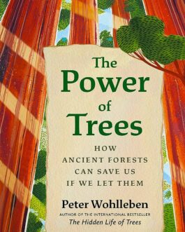 The Power Of Trees – Peter Wohlleben