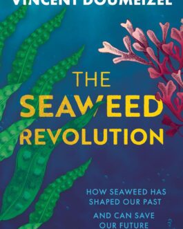 The Seaweed Revolution – Vincent Doumeizel