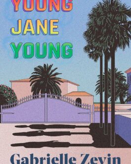 Young Jane Young – Gabrielle Zevin