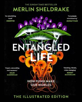 Entangled Life : How Fungi Make Our Worlds – Merlin Sheldrake (The Illustrated Edition)