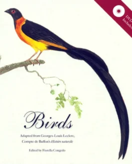 Birds – Ed. Fiorella Congedo