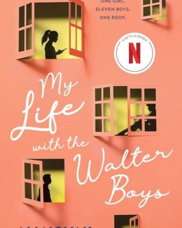 My Life With The Walter Boys – Ali Novak