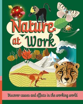 Nature At Work : Discover causes and effects in the natural world – Paul Mason, Illustrated by Mark Ruffle