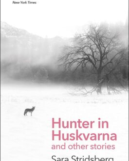 Hunter in Huskvarna and other stories – Sara Stridsberg