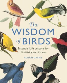 The Wisdom of Birds – Alison Davies
