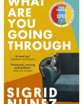 What Are You Going Through – Sigrid Nunez