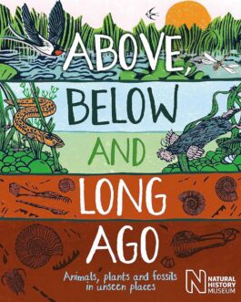 Above, Below And Long Ago – Michael Bright & Jonathan Emmerson