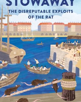 Stowaway : The Disreputable Exploits Of The Rat – Joe Shute (Hardcover)