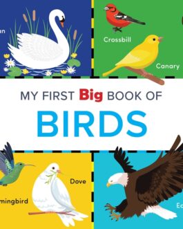 My First Big Book Of Birds