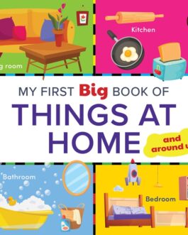 My First Big Book Of Things At Home and around us