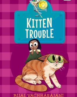 Kitten Trouble – Bijal Vachharajani