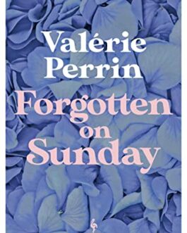 Forgotten On Sunday – Valerie Perrin