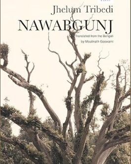 Nawabgunj – Jhelum Tribedi, Translated by Moulinath Goswami