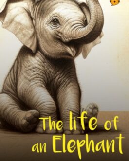 The Life of an Elephant -S.Eardley Wilmot