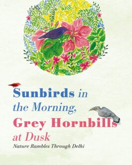 Sunbirds in the Morning, Grey Hornbills at dusk – Bulbul Sharma