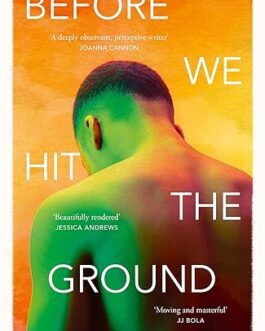 Before we hit the ground – Selali Fiamanya