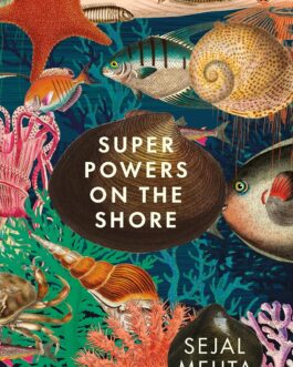 Superpowers On The Shore – Sejal Mehta