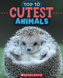 Top 10 Cutest Animals – Brenna Maloney