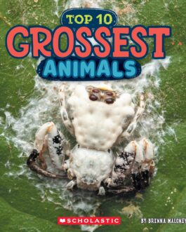 Grossest Animals (Wild World : Top 10)