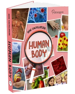 Mini Encyclopedia : Human Body