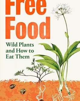 Free Food : Wild Plants and How to Eat them – Mo Wilde, illustrated by Talya Baldwin
