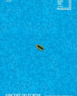 Small Boat – Vincent Delecroix