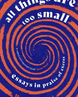 All things are too small : essays in praise of excess – Becca Rothfeld