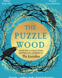 The Puzzle Wood – Rosie Andrews