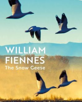 The Snow Geese – William Fiennes