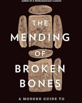 The Mending of Broken Bones : A Modern guide to Classical Algebra – Paul Lockhart