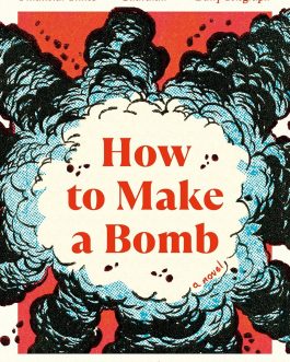 How to make a Bomb – Rupert Thomson