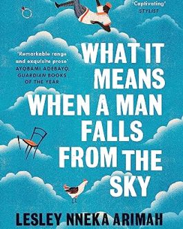 What it means when A Man falls from The Sky – Lesley Nneka Arimah