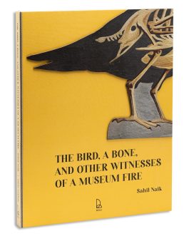 The Bird,  A Bone , and other Witnesses of A Museum Fire – Sahil Naik
