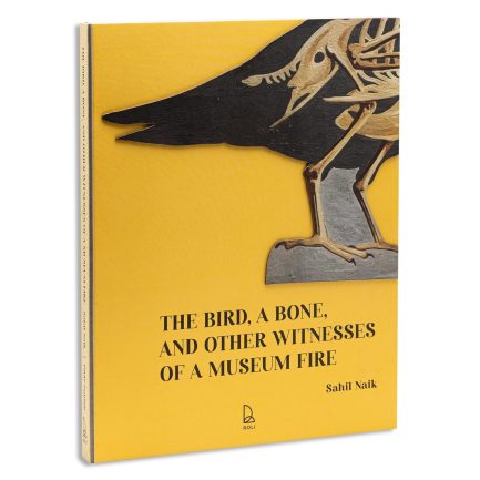 The Bird,  A Bone , and other Witnesses of A Museum Fire - Sahil Naik