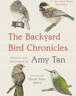 The Backyard Bird Chronicles – Amy Tan