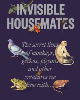 Invisible Housemates – Deepa Padmanaban