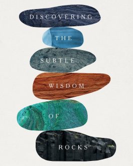 Turning to Stone : Discovering the Subtle wisdom of Rocks – Marcia Bjornerud