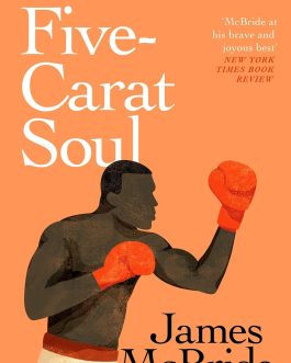 Five-Carat Soul – James McBride