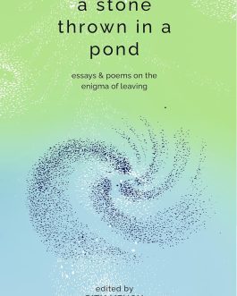 A Stone thrown in a Pond – Ritu Menon