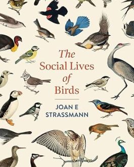 The Social Lives of Birds – Joan E Strassmann
