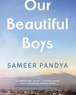 Our Beautiful Boys – Sameer Pandya