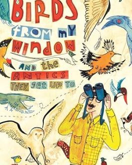 Birds From My Window And The Antics They Get Up To – Ranjit Lal