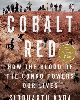 Cobalt Red : How the Blood of The Congo Powers our Lives – Siddharth Kara