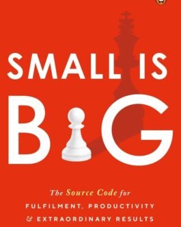 Small Is Big : The Source Code for Fulfilment, Productivity and Extraordinary Results – Amit Agarwal
